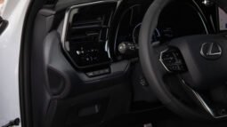 
										LEXUS TX500H F SPORT2 full									