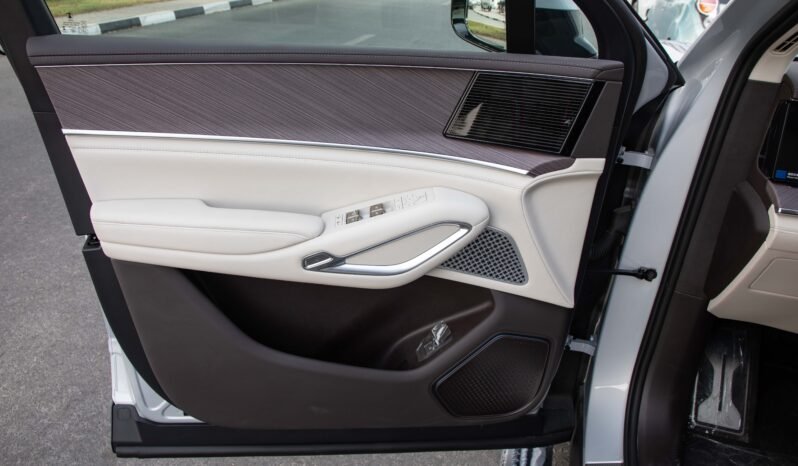 
								2025 DENZA N9 FLAGSHIP VERSION 2.0T 125KM RANGE full									