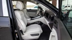 
										2025 Denza N9 2.0T Premium Plugin Hybrid 6Seater full									
