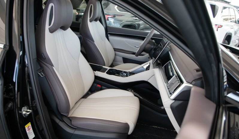 
								2025 BYD Song Plus Flagship Smart Driving full									