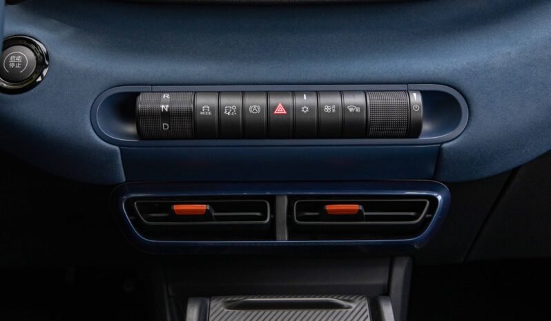 
								BYD SEAGULL FLYING EDITION 405KM full									