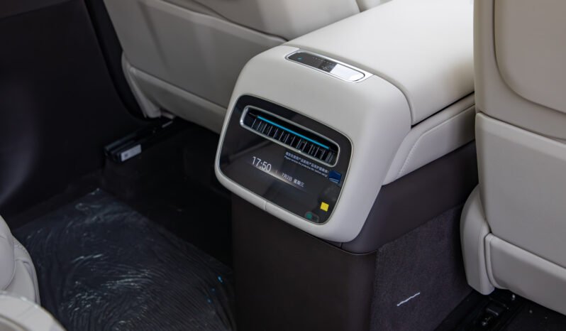
								2025 DENZA N9 FLAGSHIP VERSION 2.0T 125KM RANGE full									