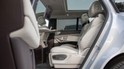 
										2025 DENZA N9 FLAGSHIP VERSION 2.0T 125KM RANGE full									