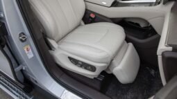 
										2025 DENZA N9 FLAGSHIP VERSION 2.0T 125KM RANGE full									
