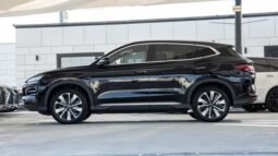 
										2025 BYD Song Plus Flagship Smart Driving full									