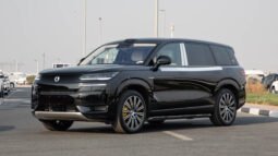 2025 Denza N9 FLAGSHIP