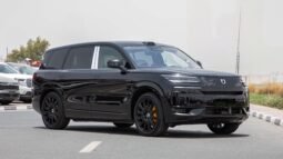 
										2025 Denza N9 2.0T Premium Plugin Hybrid 6Seater full									
