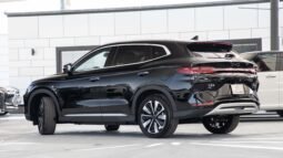 
										2025 BYD Song Plus Flagship Smart Driving full									