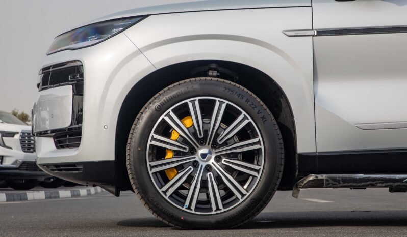 
								2025 DENZA N9 FLAGSHIP VERSION 2.0T 125KM RANGE full									