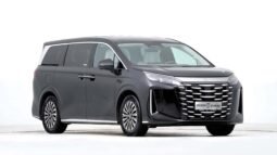 2025 BYD Xia DM-I 180KM Excellence Edition