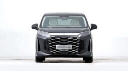 2025 BYD Xia DM-I 180KM Excellence Edition