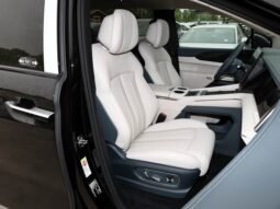 
										2025 BYD Xia DM-I 180KM Excellence Edition full									