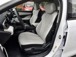 
										2025 BYD Seal 05 DM-I 55KM PREMIUM ED SMART DRIVING full									