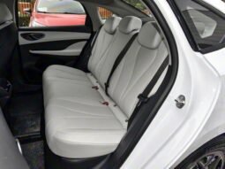 
										2025 BYD Seal 05 DM-I 55KM PREMIUM ED SMART DRIVING full									