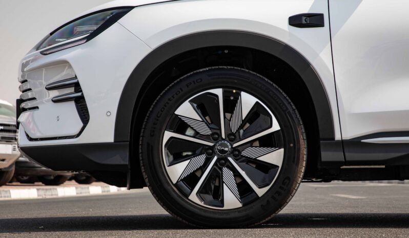 
								2025 BYD Song Plus DM-I FLAGSHIP EDITION full									