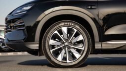 
										2025 BYD Song Plus DM-I FLAGSHIP SMART DRIVING EDITION full									