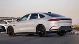 
										2025 BYD HAN DM-I 125KM ELITE SMART DRIVING EDITION full									