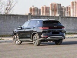 
										2025 BYD Song Plus DM-I FLAGSHIP SMART DRIVING EDITION full									