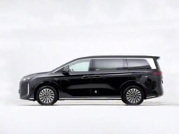 2025 BYD Xia DM-I 180KM EXELLENCE EDITION
