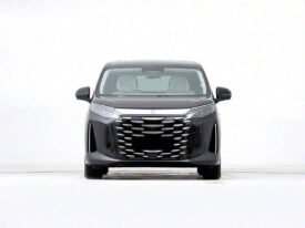 2025 BYD Xia DM-I 180KM EXELLENCE EDITION