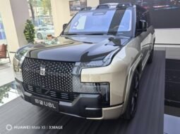 2025 Yangwang U8 BYD YANGWANG U8L DINGSHI EDITION .