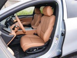 
										2025 BYD HAN L EV 701KM LiDAR Premium Edition full									