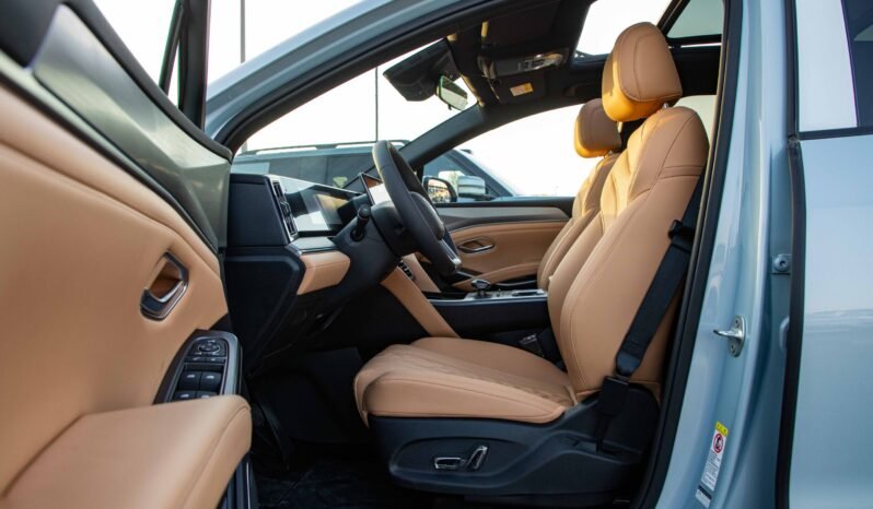 
								2025 BYD Song L DM-I SURPASS EDITION full									