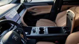 
										2025 BYD Song L DM-I SURPASS EDITION full									