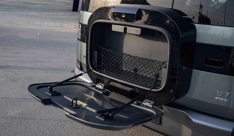 
								2025 BYD Leopard Titanium 7 135KM DM-i 2WD PRO EDITION full									