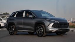 
										2025 BYD Song L DM-I SURPASS EDITION full									