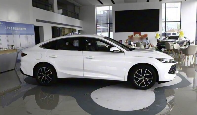 
								2024 BYD Qin L DM-i 80KM SURPASS EDITION full									