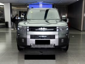 2025 BYD Leopard Titanium 7 135KM DM-i 2WD PRO EDITION