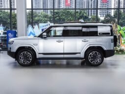 
										2025 BYD Leopard Titanium 7 135KM DM-i 2WD PRO EDITION full									