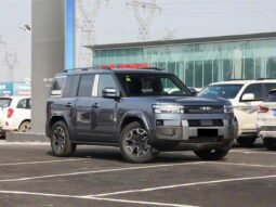 
										2025 BYD Leopard Titanium 7 135KM DM-i 2WD PRO EDITION full									