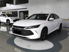 2024 BYD Qin L DM-i 80KM SURPASS EDITION