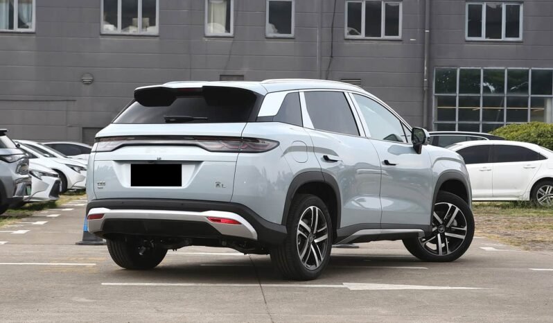 
								2025 BYD Song L DM-I SURPASS EDITION full									