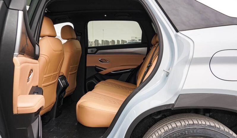 
								2025 BYD Song L DM-I SURPASS EDITION full									