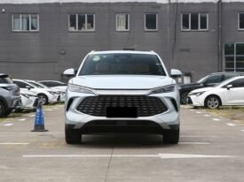 2025 BYD Song L DM-I SURPASS EDITION