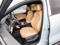 
										2025 BYD Song L DM-I SURPASS EDITION full									