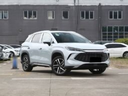 
										2025 BYD Song L DM-I SURPASS EDITION full									