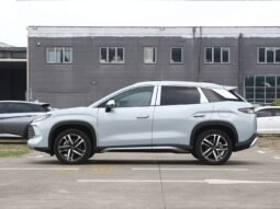 
										2025 BYD Song L DM-I SURPASS EDITION full									