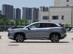
										2025 BYD Song L DM-I SURPASS EDITION full									
