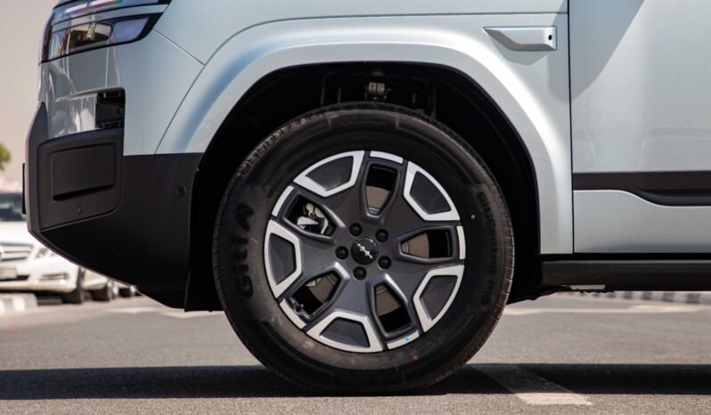 
								2025 BYD Leopard Titanium 7 135KM DM-i 2WD PRO EDITION full									