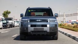 
										2025 BYD Leopard Titanium 7 135KM DM-i 2WD PRO EDITION full									