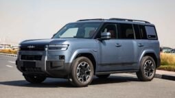 
										2025 BYD Leopard Titanium 7 135KM DM-i 2WD PRO EDITION full									