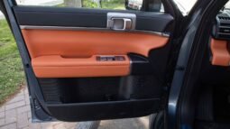 
										2025 BYD Leopard Titanium 7 135KM DM-i 2WD PRO EDITION full									