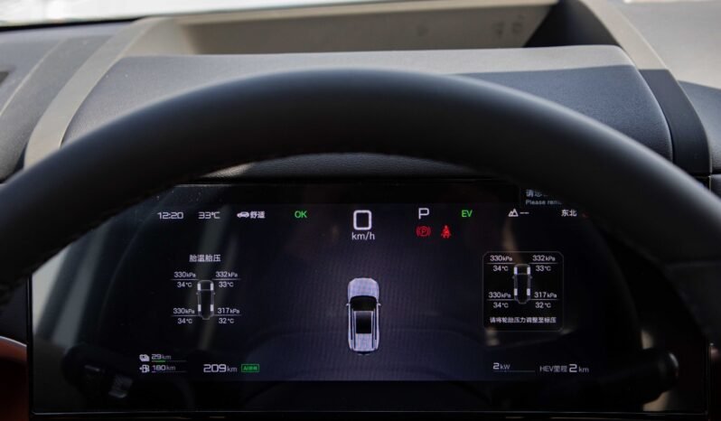 
								2025 BYD Leopard Titanium 7 135KM DM-i 2WD PRO EDITION full									