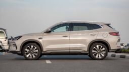 
										2025 BYD Song Plus EV Smart Drive LUXURY EDITION full									