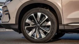 
										2025 BYD Song Plus EV Smart Drive LUXURY EDITION full									