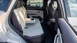 
										2025 BYD Song Plus EV Smart Drive LUXURY EDITION full									